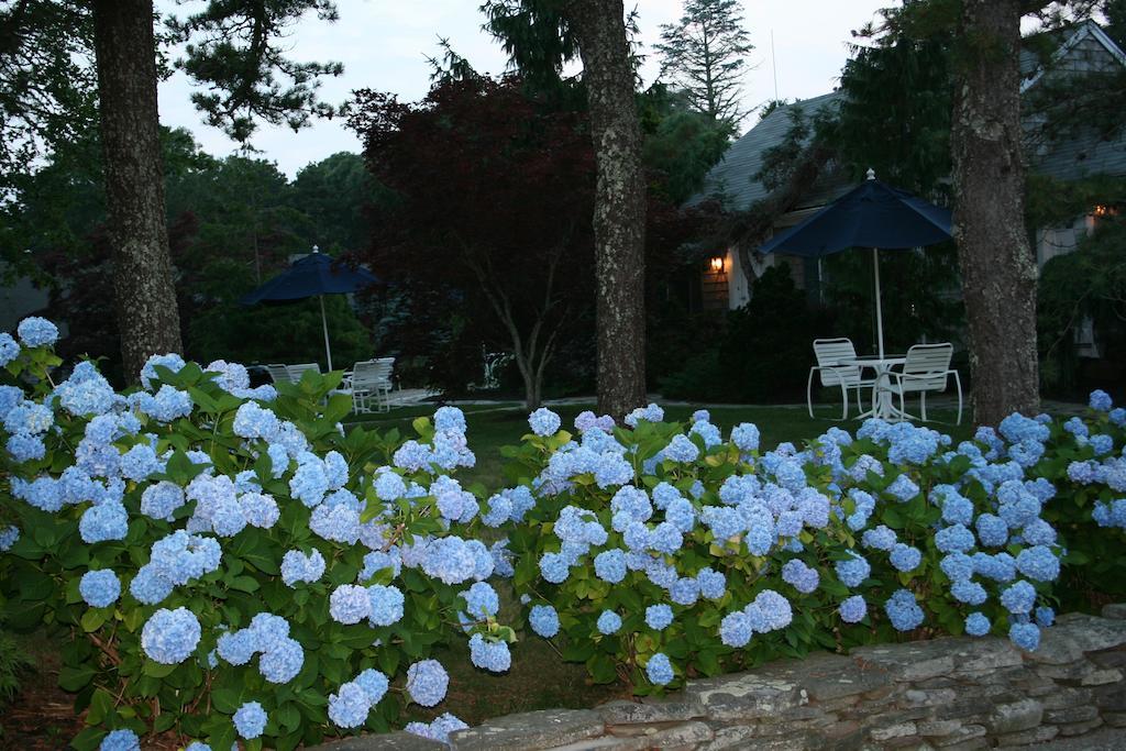 Pleasant Bay Village Resort Чатъм Екстериор снимка